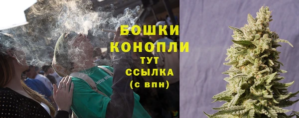 крисы Красноперекопск