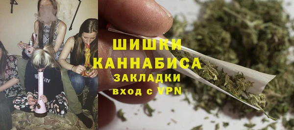 прущие крисы Костерёво