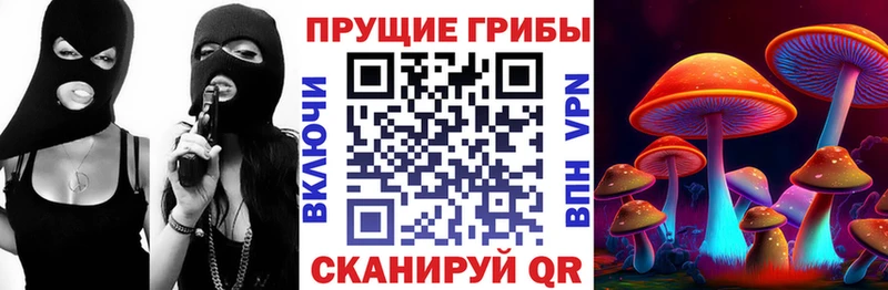 Псилоцибиновые грибы Psilocybe Трёхгорный
